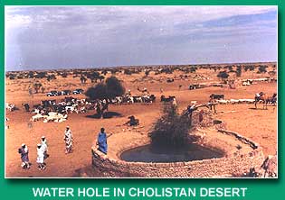 How collect water poepal(15488 bytes)
